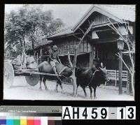 臺東用牛車搬運郵件情形藏品圖，第3張